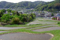 下山口に残る現役の棚田