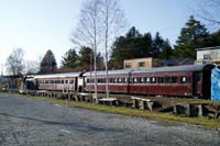 三菱大夕張鉄道（北海道夕張市）
地域の宝として市民グループがかつての車両を
駅のプラットホームとともに保存・公開