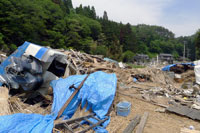 津波ですべてが流された屋敷周辺
（２０１１年６月１２日）