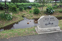 分水嶺の流れ